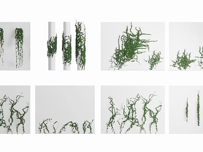 Green Decorative Vines With Hanging And Climbing Growth Styles For Indoor Use 3d model