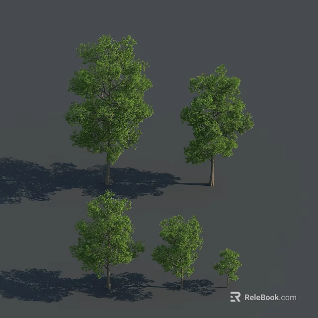 Green Arbor Trees In Multiple Sizes With Lush Foliage And Natural Shadows On Gray Background 3d model 