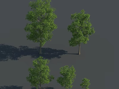 Green Arbor Trees In Multiple Sizes With Lush Foliage And Natural Shadows On Gray Background 3d model