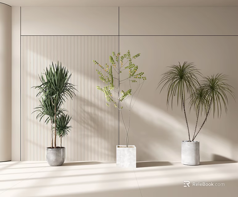 Potted Bonsai Plants With Tall Green Foliage Elegant Branches And Spiky Leaves Against Light Wall 3d model 