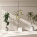Potted Bonsai Plants With Tall Green Foliage Elegant Branches And Spiky Leaves Against Light Wall