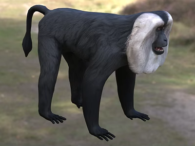 Black And White Reptile Standing On Grassy Field With Trees Background 3d model