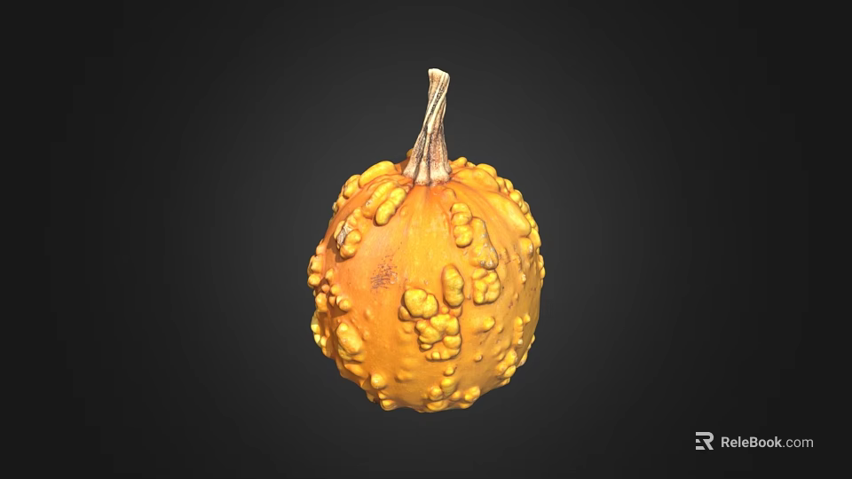 Fresh Orange Pumpkin With Bumpy Surface And Stem Isolated On Black Background 3d model 