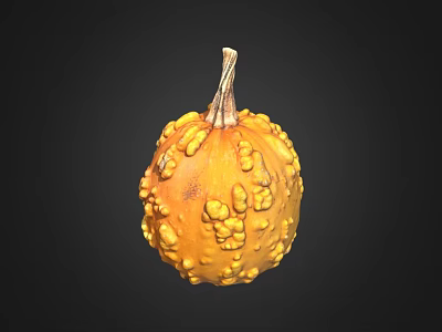 Fresh Orange Pumpkin With Bumpy Surface And Stem Isolated On Black Background 3d model