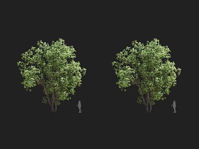 Two Lush Green Arbor Trees With Human Figures Beside On Black Background 3d model