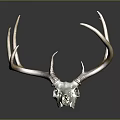 Modern Skull Animal Head Bone Horn Deer Head Bone Fossils 3d model