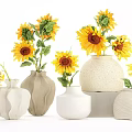 Potted Sunflower Plants In Various Ceramic Vases For Home Decoration