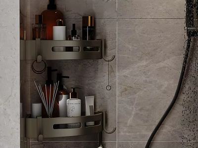 Bathroom Wall Mounted Metal Two Tier Shelf With Toiletries And Hooks 3d model