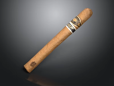 High Quality Brown Cigar With Decorative Label As Essential Modern Lifestyle Living Accessory 3d model
