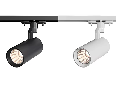 Modern Adjustable Track Mounted Spotlights and Downlights in Black and White Design 3d model