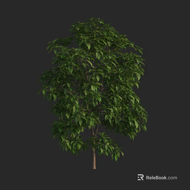 Lush Green Arbor With Dense Foliage And Brown Trunk In Natural Form 3d model 