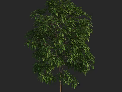Lush Green Arbor With Dense Foliage And Brown Trunk In Natural Form 3d model