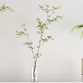Decorative Vases With Lush Green Plants On White Display Shelf