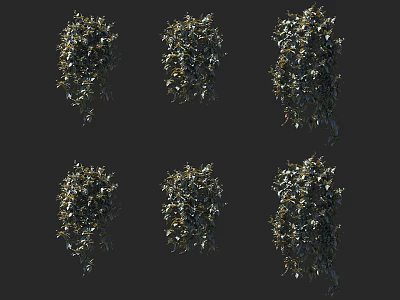 Detailed Decorative Vine Models In Various Growth Stages For Design Projects 3d model
