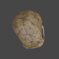 Detailed Cracked Tan Skull 3D Model for Game and Movie Character Design