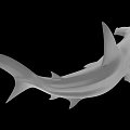 White Shark 3D Model Render on Black Background with Detailed Fin and Body Structure 3d model
