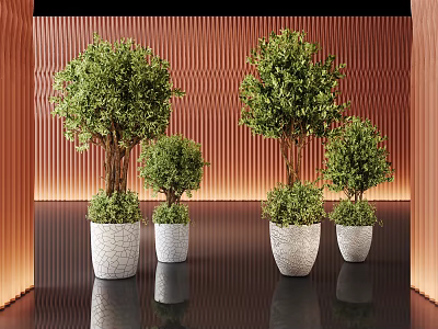Green plant turnout potted plant 3d model