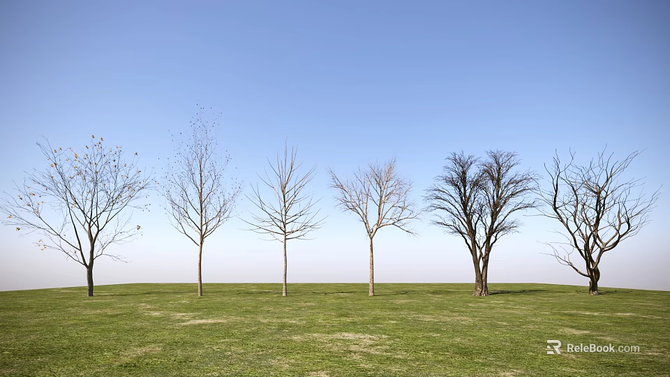 Leafless Trees Lined Up on Green Grassland Under Clear Blue Sky 3d model 