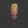 Colorful Beetle With Red And Yellow Stripes And Large Mandibles On Black Background