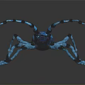 Vibrant Blue and Black Flying Insect with Patterned Wings and Detailed Body Features
