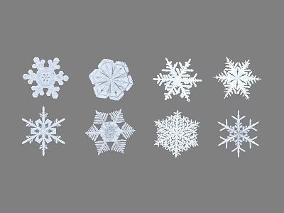 Eight Different White Snowflake Designs On Gray Background For Winter Decor 3d model