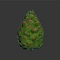 Green Pine Cone Plant Organ with Red Spots and Hair Like Scales on Gray Background