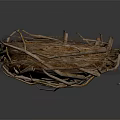 Natural Bird Nest Made Of Twigs With Spotted Eggs Inside Close Up Detail View
