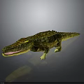 Crocodile 3D Model with green and yellow patterns open mouth exposed teeth dark background reflection 3d model