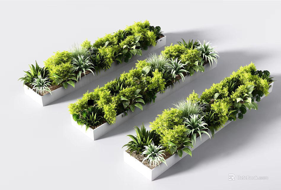 Three White Rectangular Planters Filled with Lush Green Bonsai Plants 3d model 