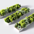Three White Rectangular Planters Filled with Lush Green Bonsai Plants 3d model