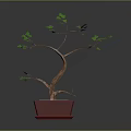 Decorative Potted Plant with Curved Trunk Green Leaves in Red Pot