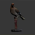 Detailed Bird Taxidermy Perched On Red Branch With Gray Base