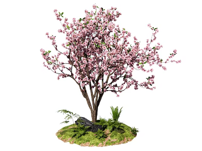Tall Flowering Tree With Pink Blossoms Green Grass And Small Plants 3d model
