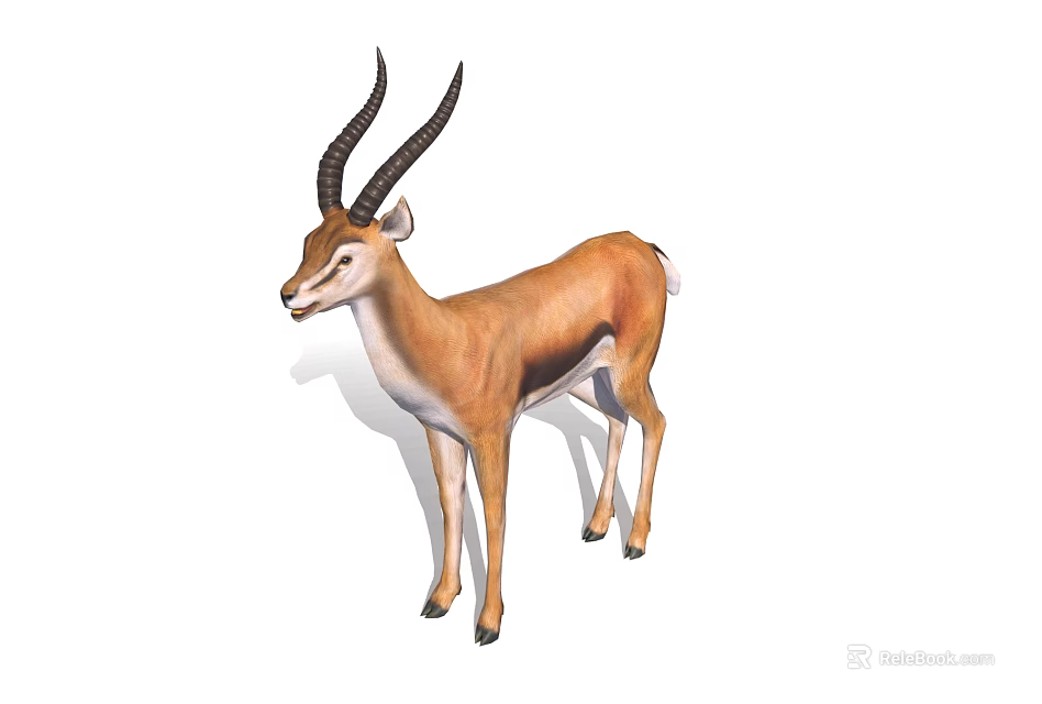 Gazelle Standing Isolated On White Background With Curved Horns And Brown And White Coat 3d model 