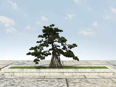 Tall Arbor With Lush Green Foliage And Thick Trunk On Stone Platform Under Blue Sky 3d model