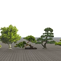Various Arbor Types Displaying Different Shapes Green Leaves And Pruned Structures 3d model