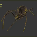 Black Spider 3D Model Rendering With Red Eyes Eight Long Legs on Gray Gradient Background 3d model