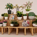 Bonsai Potted Plants Display on Wooden Multi Tiered Stand with Various Greenery and Colorful Flowers