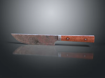 Old Rusty Weapon Knife With Wooden Handle On Black Surface And Reflection 3d model