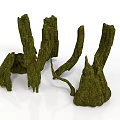 Green Moss Covered Plant Branches With Irregular Shapes And Natural Texture