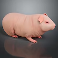 Hairless Pink Guinea Pig Game Movie Character Standing On Dark Surface With Reflection