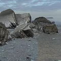 Rustic Stones and Weathered Wood in Natural Coastal Area with Scenic View
