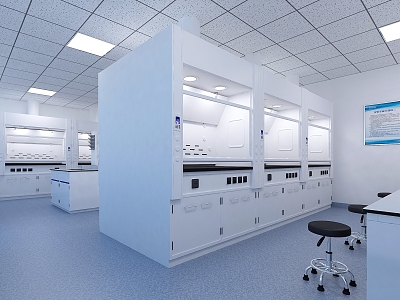 Food Company Laboratory Physical and Chemical Pre-treatment Room model