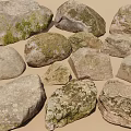 Natural Mossy Stones With Various Sizes Shapes And Textured Surfaces