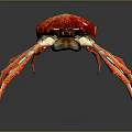 Vibrant Red and Orange Crab with Long White Legs on Dark Background with Reflection