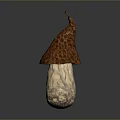Fresh Edible Mushroom With Brown Textured Cap And Light Colored Stem