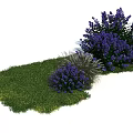Lush Green Grass And Purple Flowering Bushes In Serene Outdoor Natural Landscape