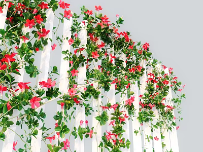Lush Green Vines With Red Flowers Climbing On White Fence And Fresh Leaves 3d model