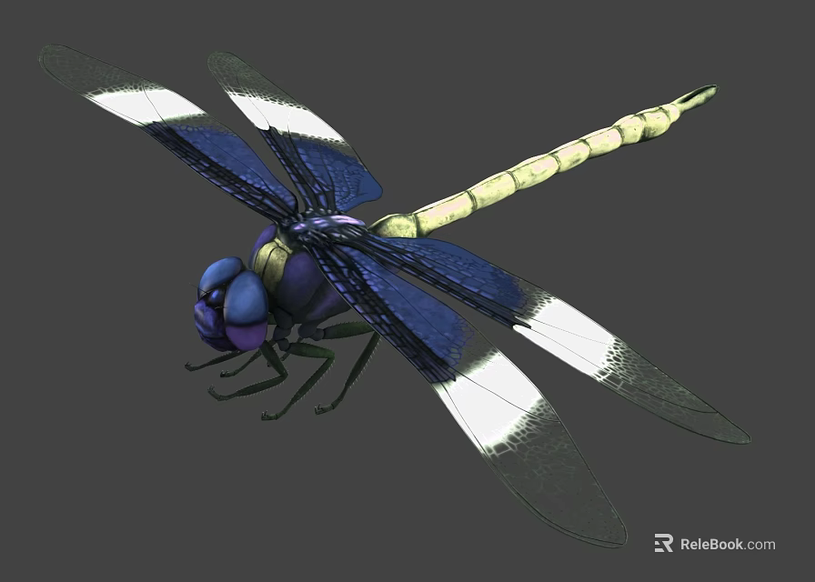 3D Rendered Dragonfly With Blue Yellow Body And White Blue Wings 3d model 