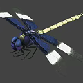 3D Rendered Dragonfly With Blue Yellow Body And White Blue Wings